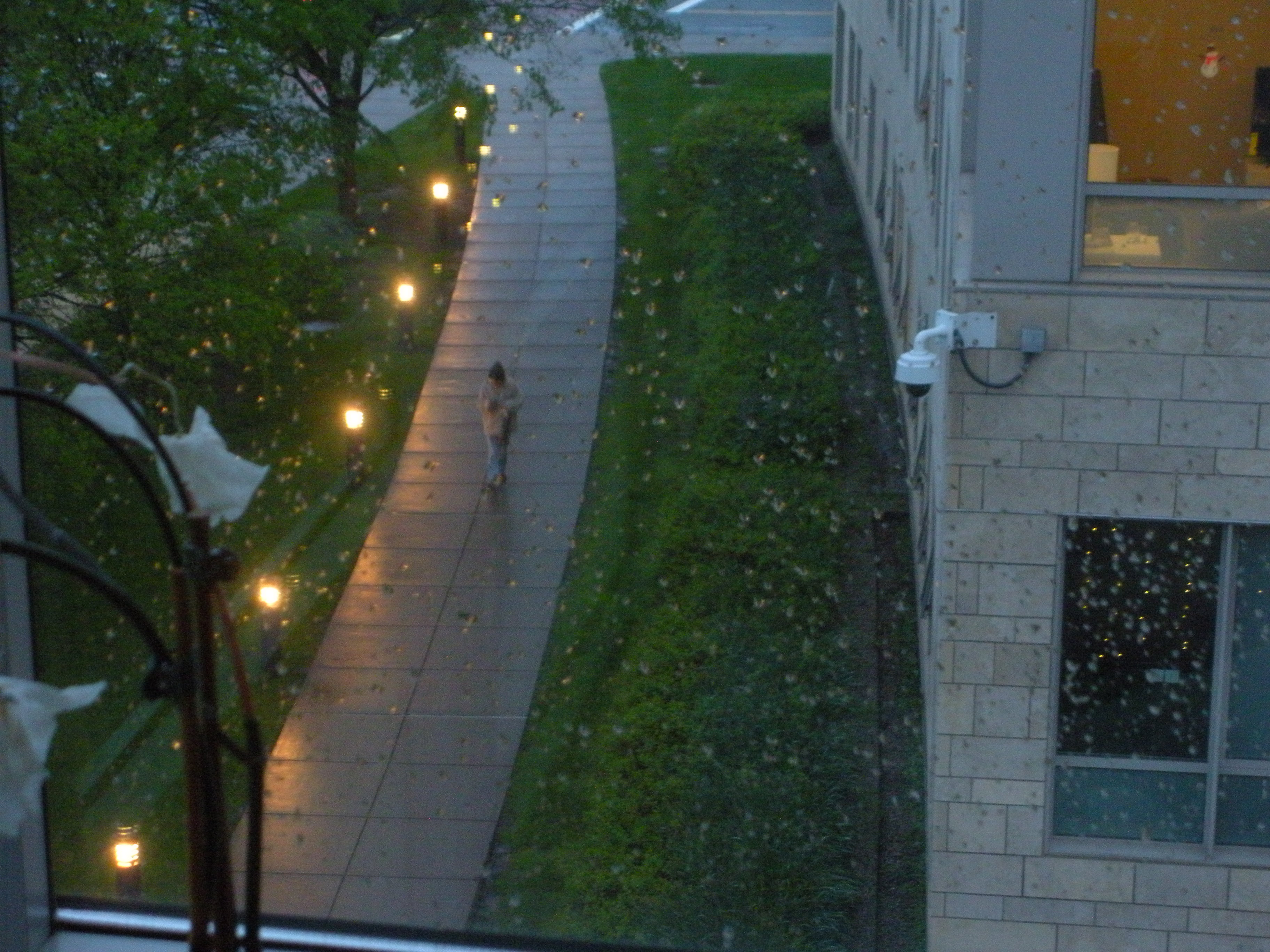 UMASS SPRING 25 photo